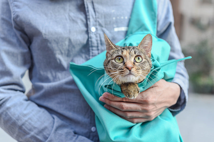 Cat Pouch Bag