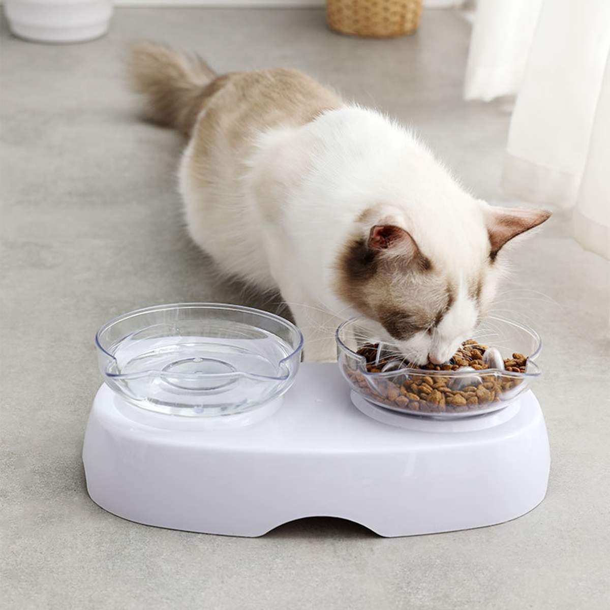 Cervical Spine Protection Cat Bowl