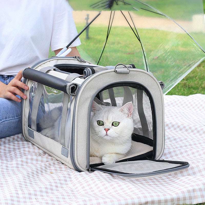 Transparent cat Bag