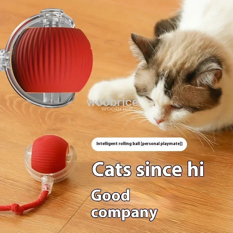 Toys Automatic Rolling Cat Ball