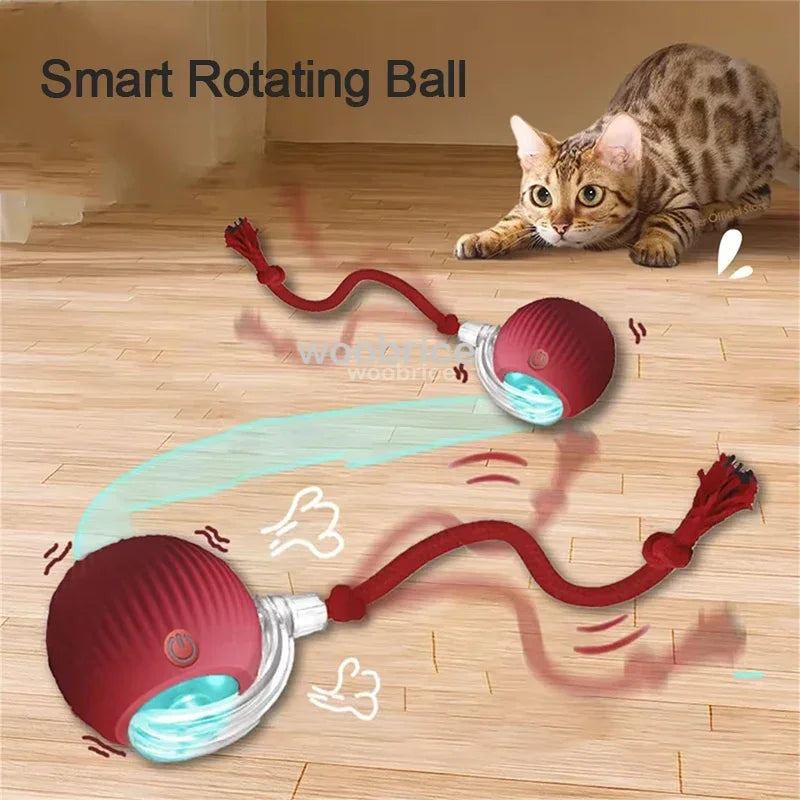 Toys Automatic Rolling Cat Ball