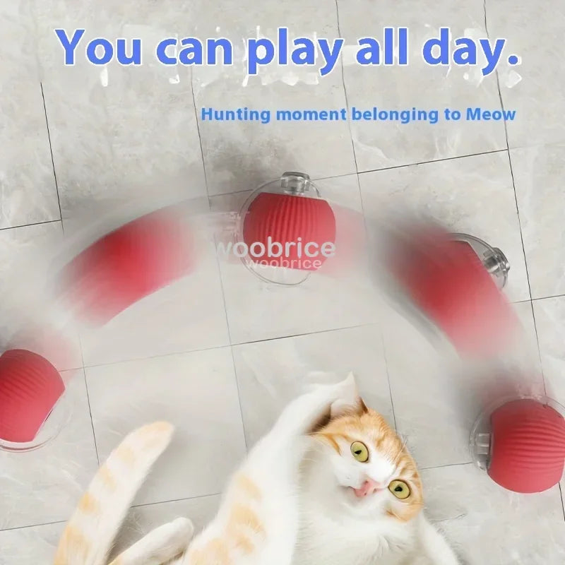 Toys Automatic Rolling Cat Ball