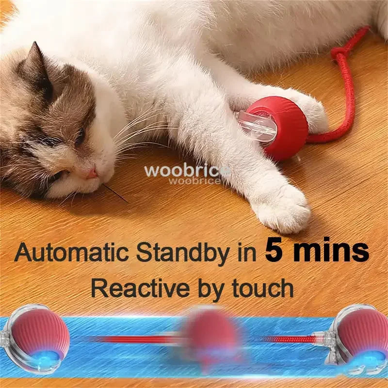 Toys Automatic Rolling Cat Ball