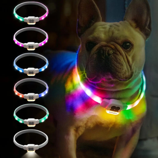 Light Up Dog Collar LED with USB Rechargeable Glow in The Dark Waterproof Dog Necklace with 6 Flashing Modes for Dogs