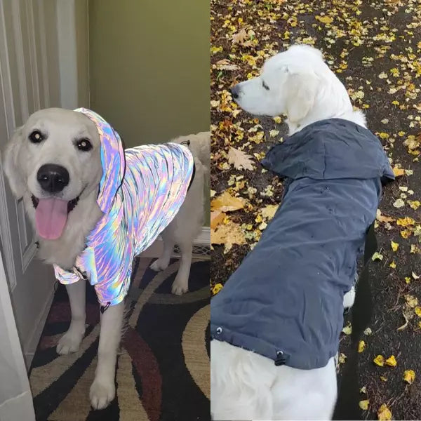 Gliowing rainbow Dogs Hoodie